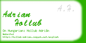 adrian hollub business card